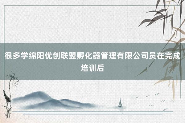 很多学绵阳优创联盟孵化器管理有限公司员在完成培训后